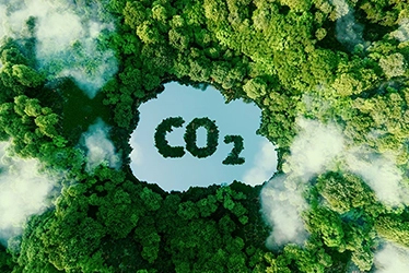BilanCarbone2024_ActuWeb_Visuel