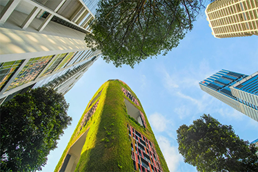 PolitiqueAchats_Visuel-ActuWeb